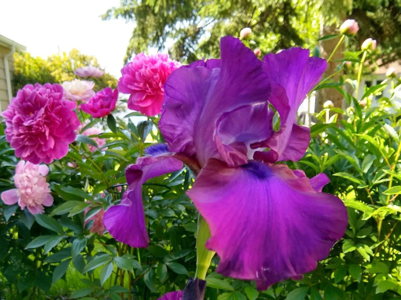 Photo by Jane from South St. Paul, Minnesota.