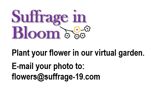 "Suffrage in Bloom" Logo and Directions for Submitting a Flower Photograph